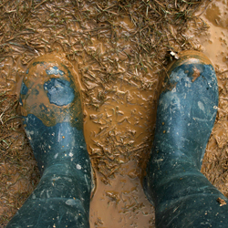 Two feet wearing rain boots standing in the mud